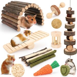 12 Assorted Chew Toys for Hamster Cage Equipment – Perfect for Guinea Pigs, Chinchillas, Gerbils, Mice, Rats, Rabbits, and Bunnies, That includes a Pure Molar Instruments Hideout Seesaw