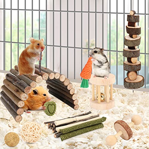 12 Assorted Chew Toys for Hamster Cage Equipment - Perfect for Guinea Pigs, Chinchillas, Gerbils, Mice, Rats, Rabbits, and Bunnies, That includes a Pure Molar Instruments Hideout Seesaw