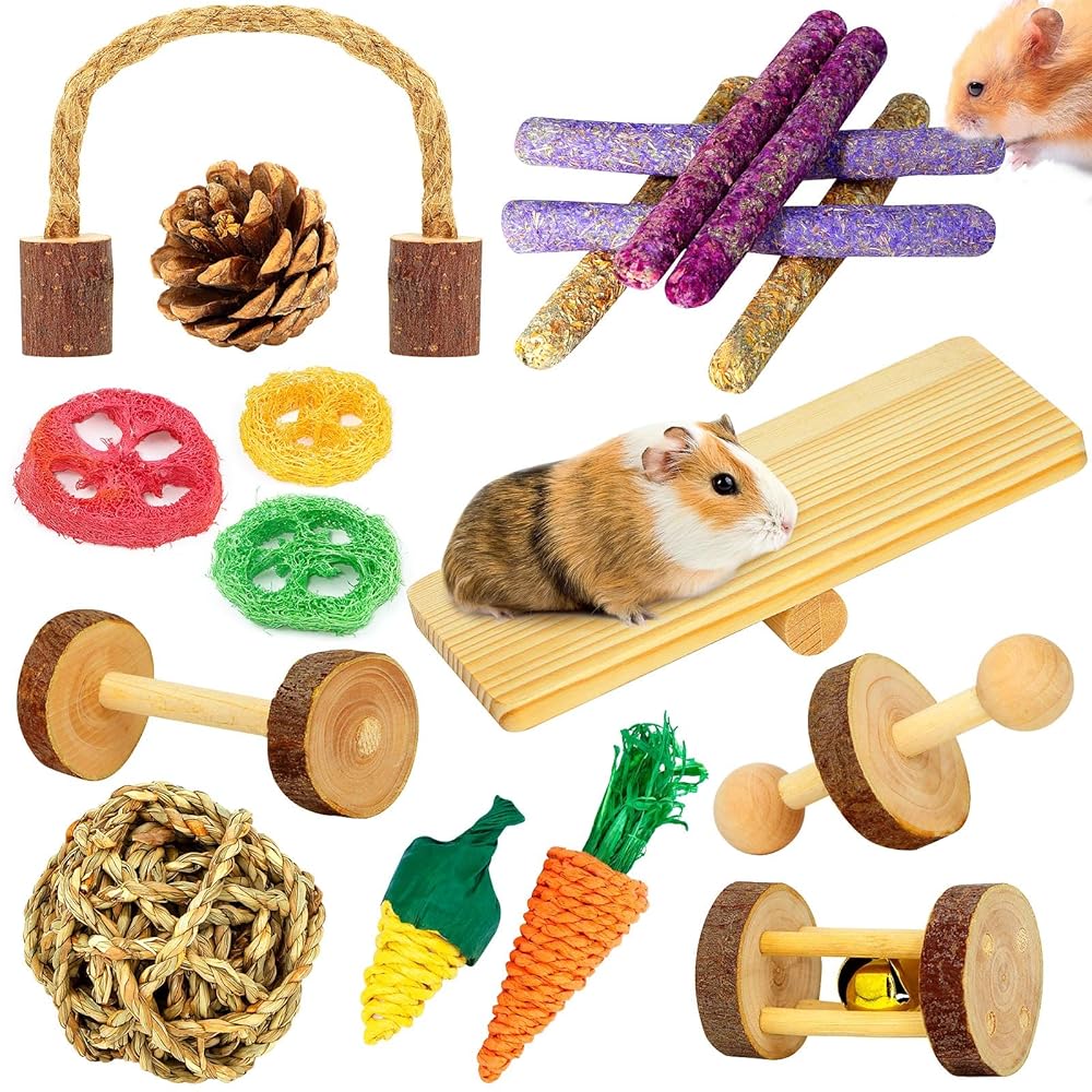 18-Piece Picket Hamster and Guinea Pig Toy Set – Pure Apple Wooden Chew Toys for Small Animals like Rabbits, Chinchillas, Gerbils, and Rats – Superb for Dental Well being and Train