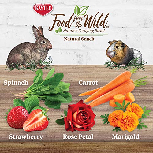 Kaytee Wild Meals Pure Treats for Pet Rabbits, Guinea Pigs, and Different Small Animals, 1 Ounce (Set of two)