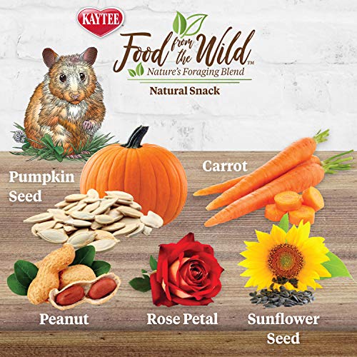 Kaytee Wild Pure Snack for Pet Hamsters, Gerbils, Rats, and Mice - 2 Ounce Pack of two